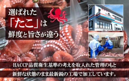 たこ 蒸しボイルたこ 約700g 1尾 【hane0009】