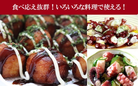 たこ 蒸しボイルたこ 約700g 1尾 【hane0009】