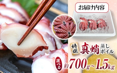 たこ 蒸しボイルたこ 約700g 1尾 【hane0009】