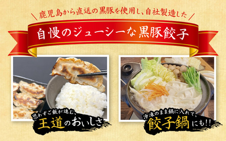 黒豚餃子 冷凍 48個【gnkt0001】