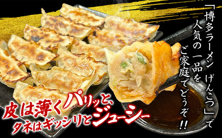 黒豚餃子 冷凍 48個【gnkt0001】