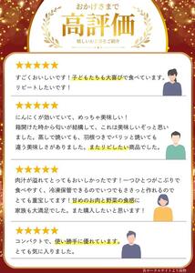 黒豚餃子 冷凍 48個【gnkt0001】