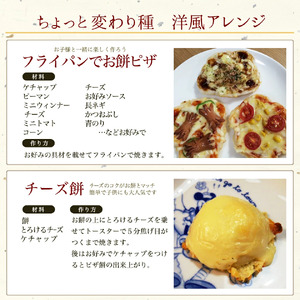 丸餅 杵つき餅 2kg 小分け 【100%国産米】【ibuk0002A】