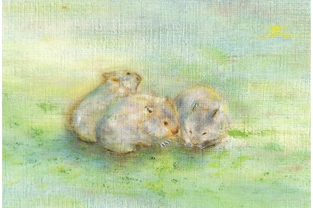 【71-05】ウォンバット絵画 『それぞれのお月見』【ジクレー版画】額付き