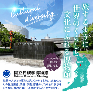 国立民族学博物館 本館展示招待券 4枚 【大阪府吹田市】家族 ミュージアム 博物館 美術館