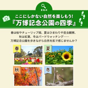 万博記念公園特別利用券【万博オールパスポートコース】1年間入園無料【大阪府吹田市】チケット パスポート 招待券 入園券 入場券 大人 1年間 入園 アウトドア 