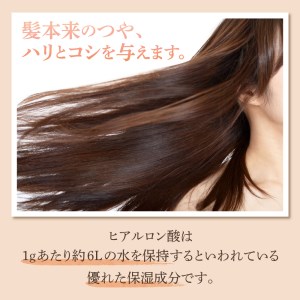 【美容サロン専売品】オンリーヘアエッセンスEX（洗い流さないトリートメント）【大阪府吹田市】美容室専売 オンリーヘアエッセンスEX 洗い流さない ヘアケア ヒアルロン酸 セラミド ノンシリコン