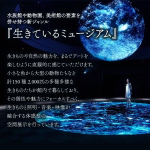 ニフレル入館券『大人1枚＋子ども1枚＋500円カフェクーポン3枚』【大阪府吹田市】家族 ミュージアム 博物館 水族館 動物園 美術館 カフェ 