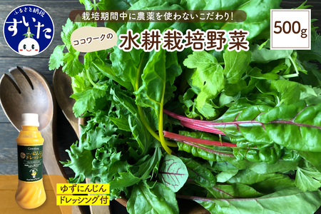 ココワークの水耕栽培野菜 約500g ゆず人参ドレッシング セット 栽培期間中 農薬不使用【大阪府吹田市】さっと洗うだけ 食べやすい お取り寄せ