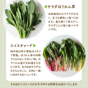 ココワークの水耕栽培野菜 約500g ゆず人参ドレッシング セット 栽培期間中 農薬不使用【大阪府吹田市】さっと洗うだけ 食べやすい お取り寄せ