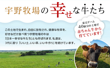 ウーノアイス　10個セット