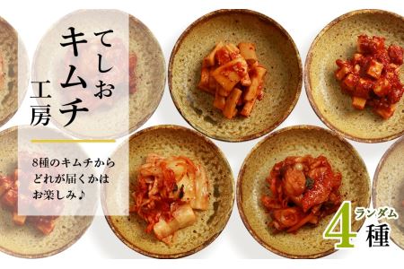 大きい割引 本場韓国の味 ユメ様専用 キムチ２種 本場韓国の味
