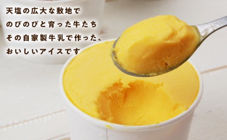 べこちちFACTORY★アイスおまかせ12種セット