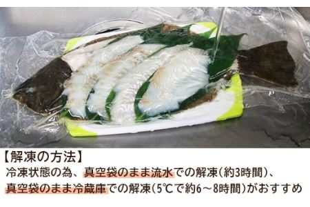 新鮮！ヒラメの姿造り(4~6人前)〈天塩の國〉