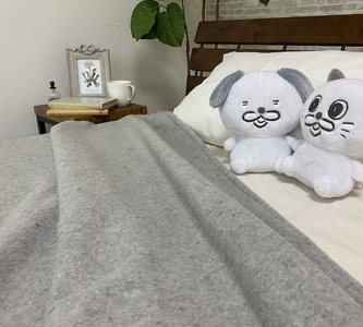 丸洗いOK 再生ウールを使った 新しい毛布 (シングル) 1枚 WRCL-100 [4589]