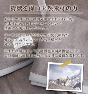 カシミヤ毛布 ハーフサイズ [2162] | 大阪府泉大津市 | ふるさと納税