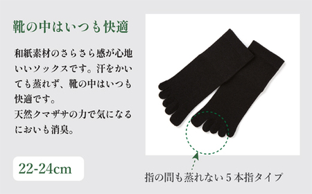 SASAWASHI レディス5本指靴下(22~24cm)3色組