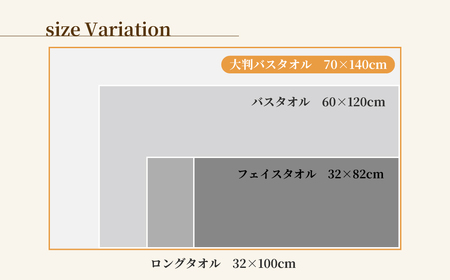 吸水力と肌触りが自慢のデイリーユース大判バスタオル 2枚セット 単色 ｜ タオル
