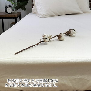 『ダブル3点セット』オーガニックコットンあったか布団カバー・BOXシーツ・まくらカバー キナリ KN-setW