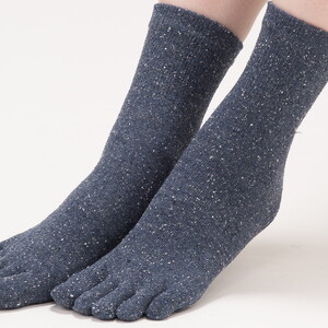 天然の美容繊維 シルク混5本指ソックス 同色2組 フリーサイズ H-SO1200X2