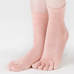 天然の美容繊維 シルク混5本指ソックス 同色2組 フリーサイズ H-SO1200X2