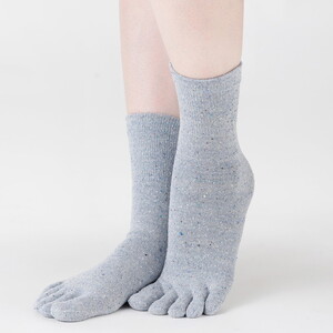 天然の美容繊維 シルク混5本指ソックス 同色2組 フリーサイズ H-SO1200X2