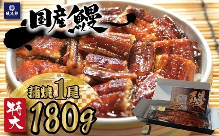 [特大] 国産 関西風地焼き うなぎ【蒲焼】1尾 180g以上｜ うなぎ 鰻 蒲焼き 冷凍鰻 活鰻 うな重 お取り寄せ 高級 うなぎの日 ウナギ unagi ※離島への配送不可 9,750円