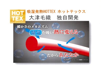 吸湿発熱ホットテックス® あったかカーペット 特大長方形 200×270cm 1枚 A-34923BR