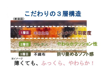 吸湿発熱ホットテックス® あったかカーペット 特大長方形 200×270cm 1枚 A-34923BR