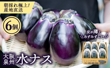朝採り極上 生水なす 6個セット | 野菜 やさい 茄子 泉州水ナス 新鮮 朝採れ 産地直送 大阪府 泉大津市 ※北海道・沖縄・離島への配送不可