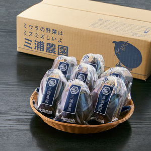 朝採り極上 生水なす 6個セット | 野菜 やさい 茄子 泉州水ナス 新鮮 朝採れ 産地直送 大阪府 泉大津市 ※北海道・沖縄・離島への配送不可