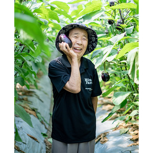 朝採り極上 生水なす 6個セット | 野菜 やさい 茄子 泉州水ナス 新鮮 朝採れ 産地直送 大阪府 泉大津市 ※北海道・沖縄・離島への配送不可