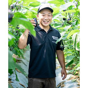 朝採り極上 生水なす 6個セット | 野菜 やさい 茄子 泉州水ナス 新鮮 朝採れ 産地直送 大阪府 泉大津市 ※北海道・沖縄・離島への配送不可