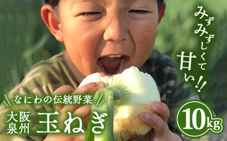 幻のたまねぎ 泉州黄玉ねぎ 10kg | 野菜 やさい 伝統野菜 泉州玉ねぎ たまねぎ 玉葱 ネギ 産地直送 大阪府 泉大津市 ※北海道・沖縄・離島への配送不可 ※2026年5月上旬～6月下旬頃に順次発送予定