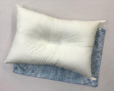 家庭で洗える 防ダニ・抗菌防臭枕 枕カバー ブルー2枚付き(リーブ)[1030]