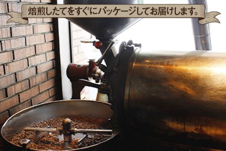 《プランタン珈琲商会 自家焙煎レギュラーコーヒー》プランタンブレンド 300g×1袋入り (豆のまま) 当社で焙煎仕立てのコーヒー豆をお届け！ [1622]