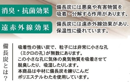 日本製 備長炭わた入り 敷きパッド シングル 100×205cm ベージュ BFP-10SBE [2707]