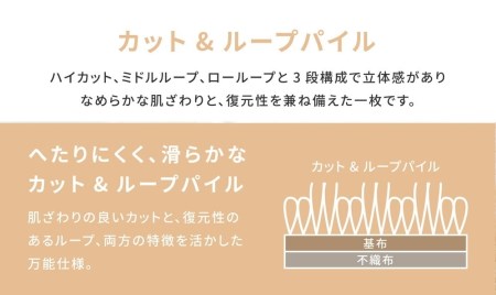 日本製 抗菌 カーペット ベージュ 1枚 3帖 約176×261cm 600003130型 [2945]