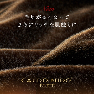 カルドニード・エリート 敷き毛布 ブラウン シングル (100×205cm) | 毛布 [4215]
