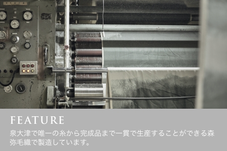 SERENE メリノウール ニューマイヤー [ブランケット／アイボリー] LP-121003IV [3106]