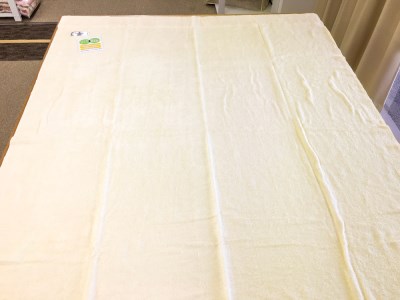 丸洗いOK タオルケット シングル 145×190cm 1枚 N-FT-10300 CR [3307]