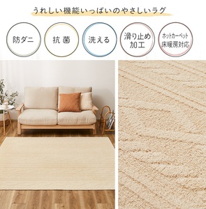 日本製 丸洗いOK 綿100% (表面) カーペット 1枚 約185×185cm 350119001 [3698]