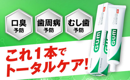 ガム・デンタルペースト 155g×20本 サンスター 大阪府高槻市/サンスター[AOAD026] 歯みがき ハミガキ 歯磨き粉 歯みがき ハミガキ 歯磨き粉 歯みがき ハミガキ 歯磨き粉 歯みがき ハミガキ 歯磨き粉