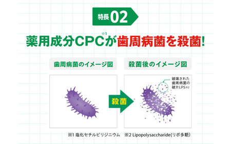 GUM デンタルペースト(ST) 120g×48本[AOAD011] 歯磨き粉