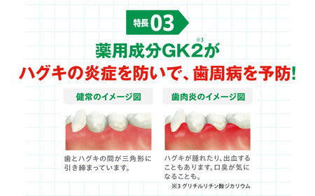 GUM デンタルペースト(ST) 120g×48本[AOAD011] 歯磨き粉