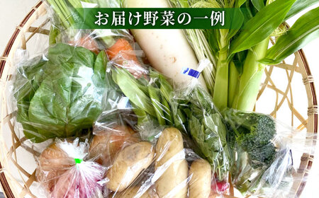 【数量限定・先行予約11】厳選！旬を味わう高槻野菜詰合せセット（10種～15種）【2024年11月発送】