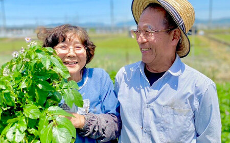 【数量限定・先行予約11】厳選！旬を味わう高槻野菜詰合せセット（10種～15種）【2024年11月発送】