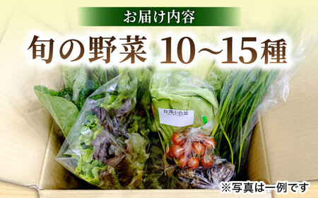 【数量限定・先行予約11】厳選！旬を味わう高槻野菜詰合せセット（10種～15種）【2024年11月発送】