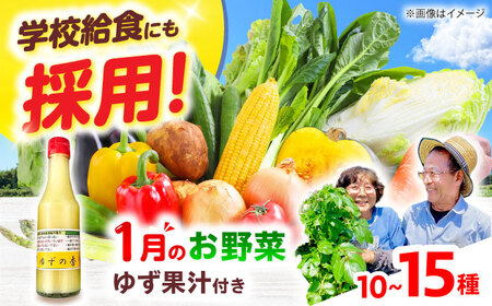 高槻野菜詰め合わせ 1月（10〜15種）＆農家さん自家製ゆず果汁[AOCS003] 野菜
