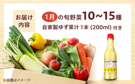 高槻野菜詰め合わせ 1月（10〜15種）＆農家さん自家製ゆず果汁[AOCS003] 野菜